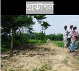 স্থানীয় সরকার