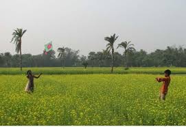 ইউনিয়ন ও সৌন্দর্য