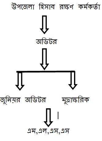 সাংগঠনিক কাঠামো