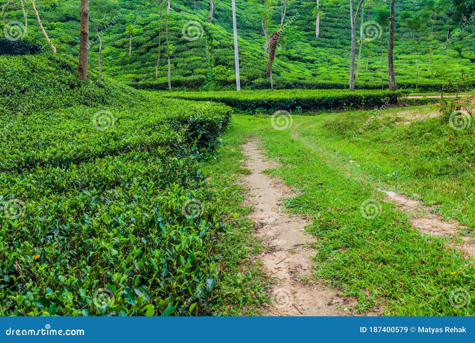 উপজেলা হিসাবরক্ষণ অফিস, কমলগঞ্জ, মৌলভীবাজার।