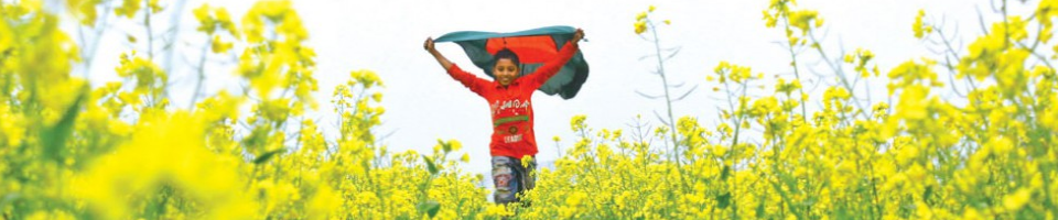 মানচিত্রে পবা