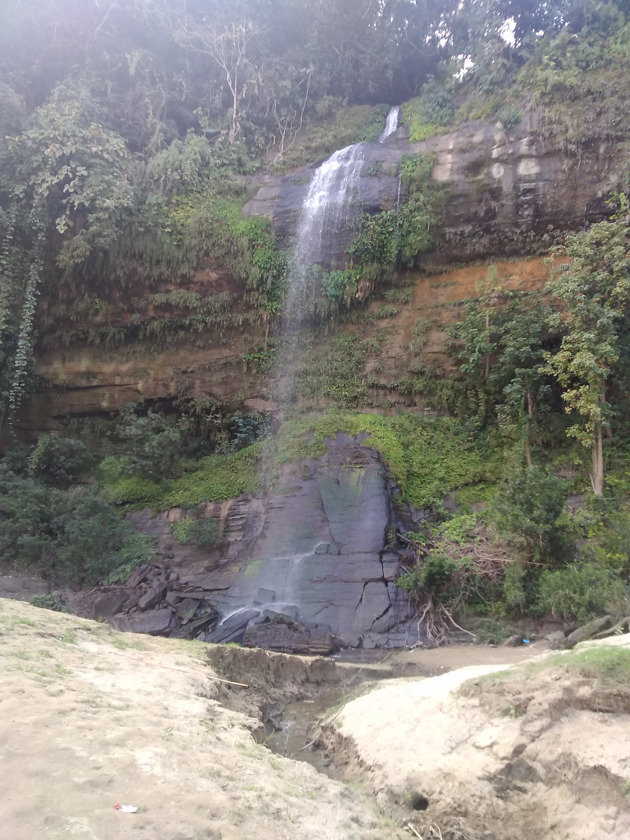Rijuk