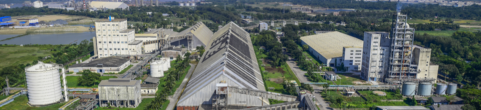 ডিএপিএফসিএল-এর ওভারভিউ