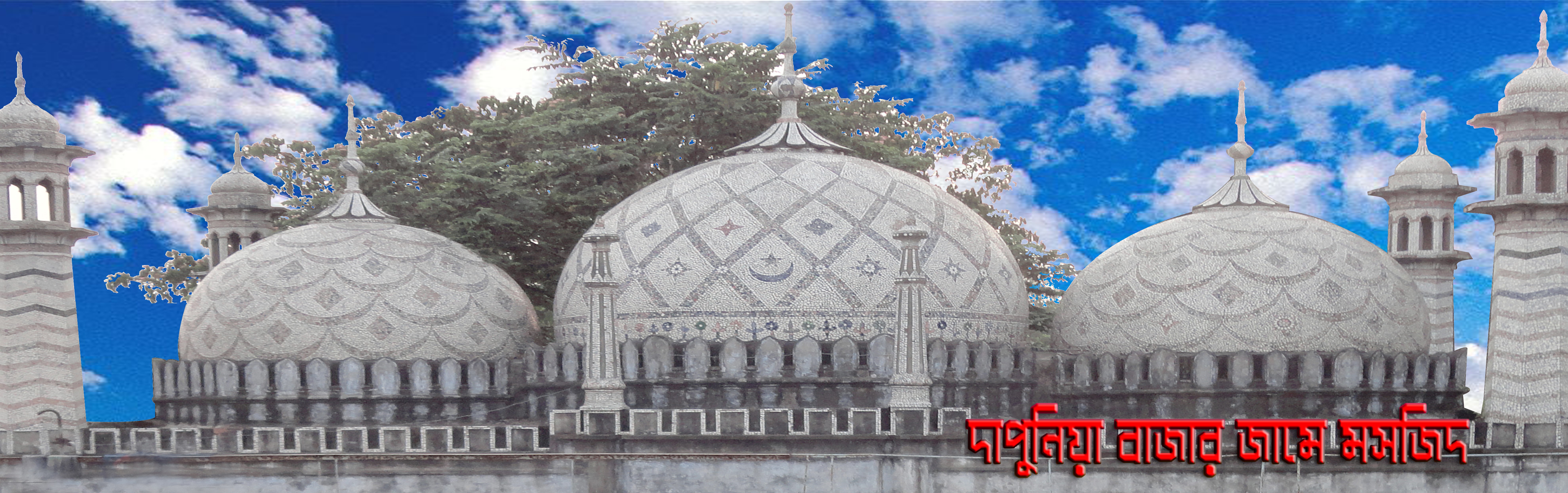 দাপুনিয়া বাজার জামে মসজিদ