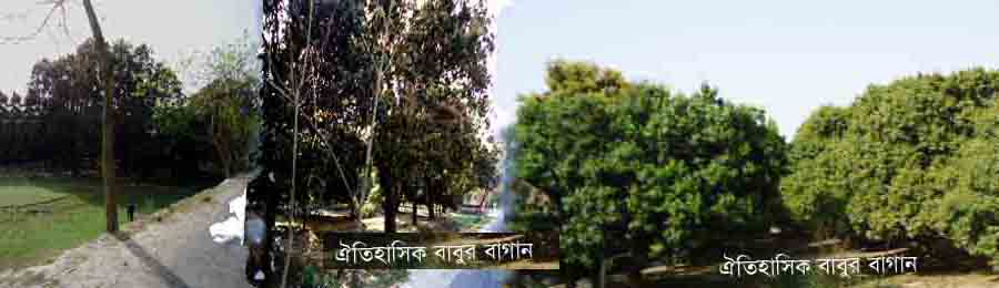 ঐতিহাসিক বাবুর বাগান