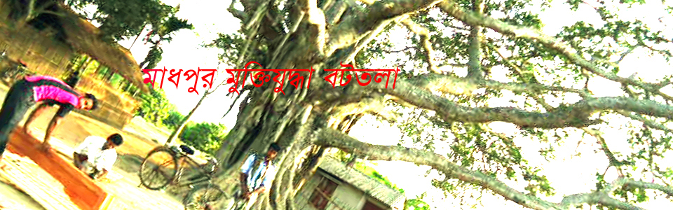 মাধপুর মুক্তি যুদ্ধা বটতলা