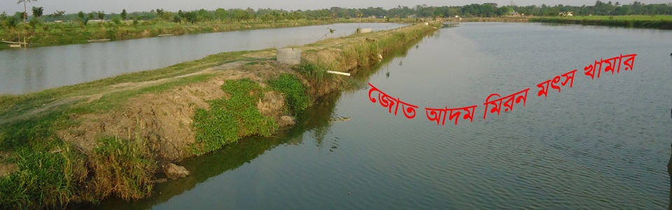 দাপুনিয়া ইউনিয়ন