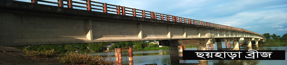 ব্যানার