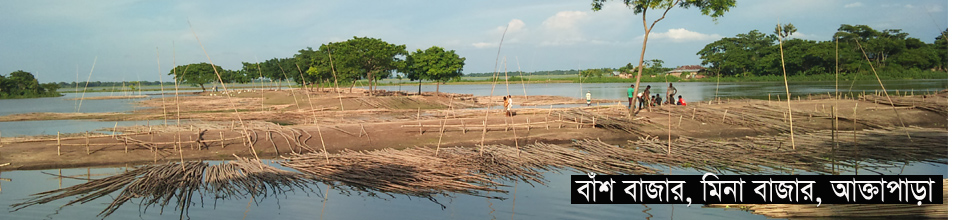 ব্যানার