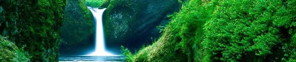 দারোরা ইউনিয়ন