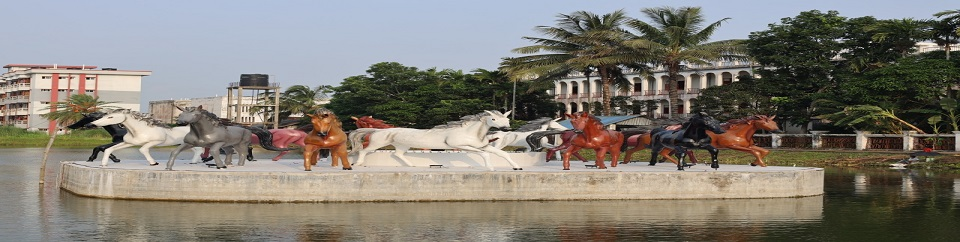 সরকারি শেখ হাসিনা একাডেমী এন্ড উইমেন্স কলেজের পুকুরের দৃশ্য