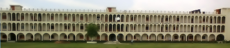 শেখ হাসিনা উইমেন্স ডিগ্রি কলেজ