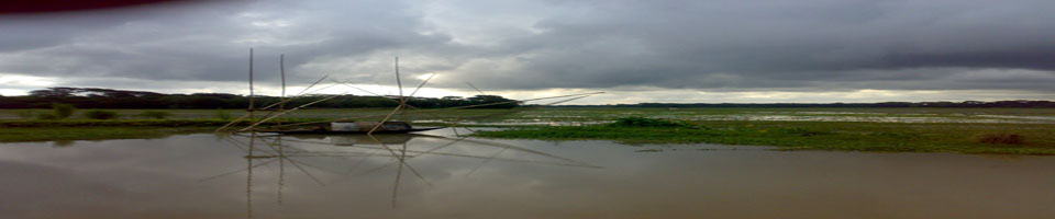 বর্ষা কালের প্রকৃতি ও মাছ ধরার কৌশল