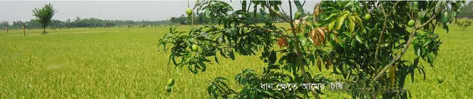 দাউদপুর ইউনিয়ন পরিষদ