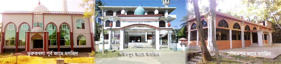 জামে মসজিদ-তুরুকখলা,দাউদপুর,দৌলতপুর
