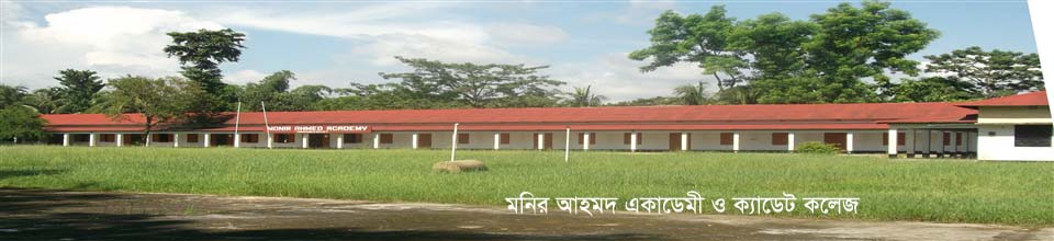 মনির আহমদ একাডেমী