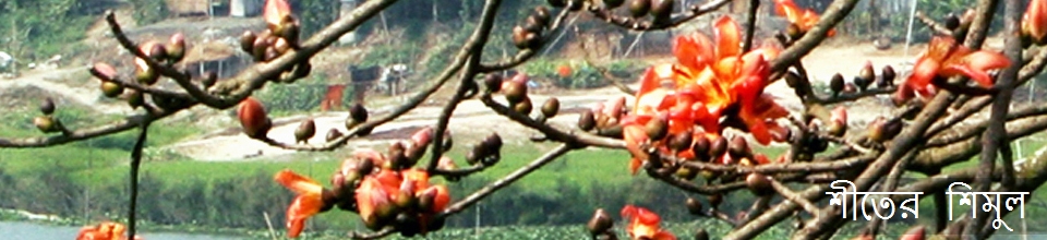 শীতের শিমুল