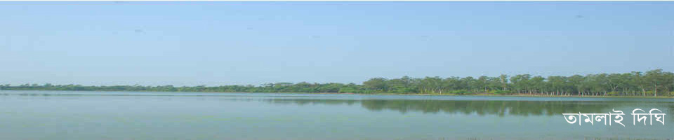 তামলাই দিঘী
