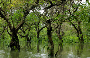 হাওর মহাপরিকল্পনা বাস্তবায়ন