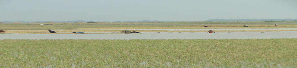 ব্যানার-২