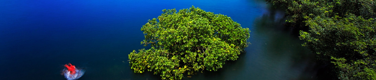 ব্যানার-৩