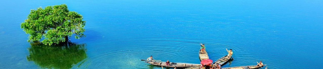 ব্যানার-২