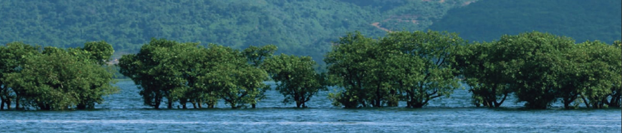 ব্যানার-১