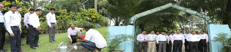 নার্সারি ব্যানার