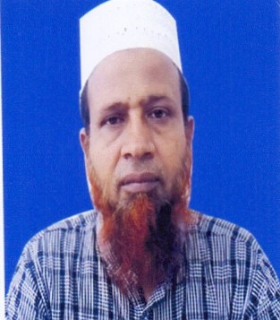 মো: আলাউদ্দিন মোল্যা