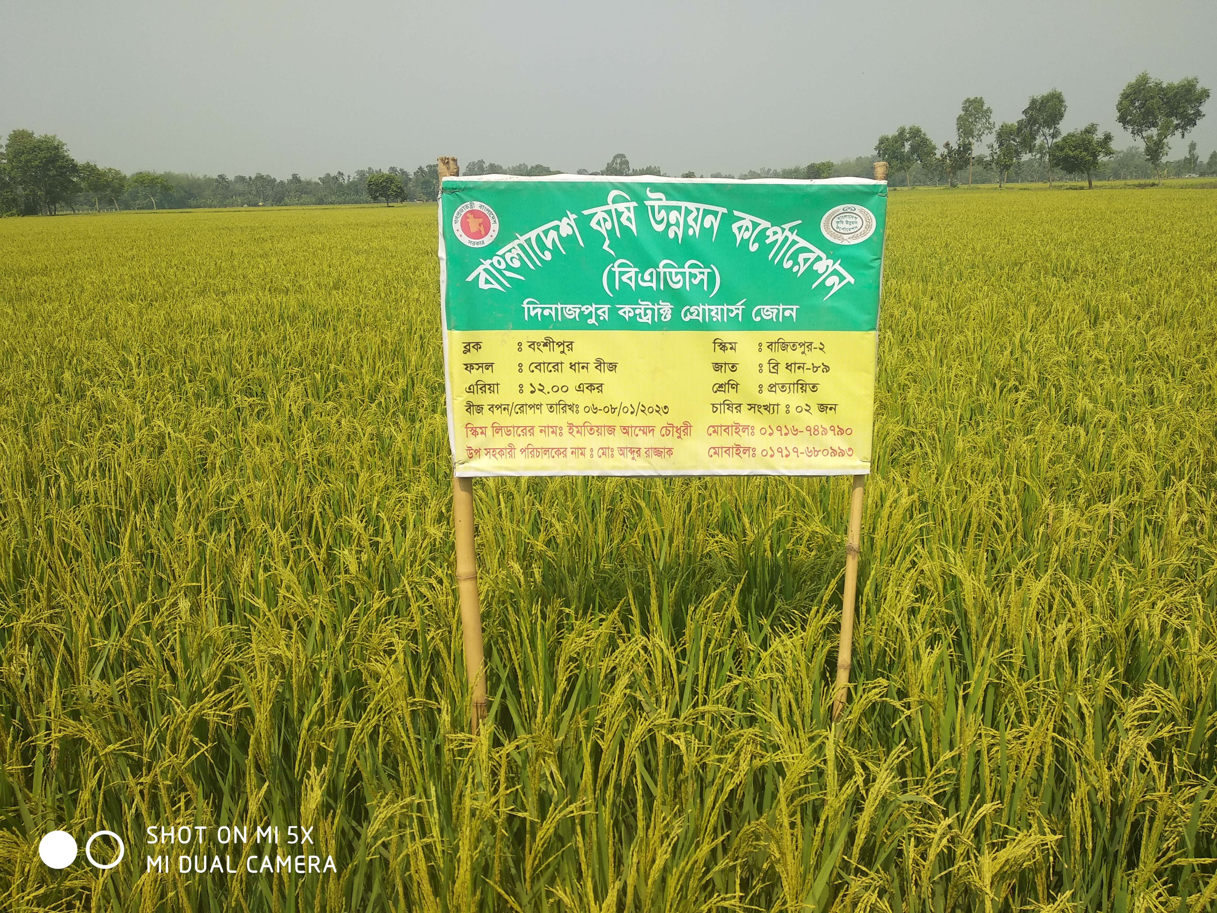 ব্যানার