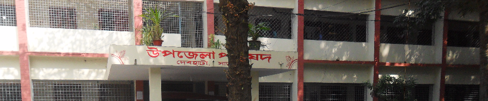 দেবহাটা উপজেলা