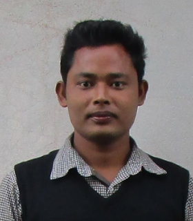 বিশ্বনাথ রায়