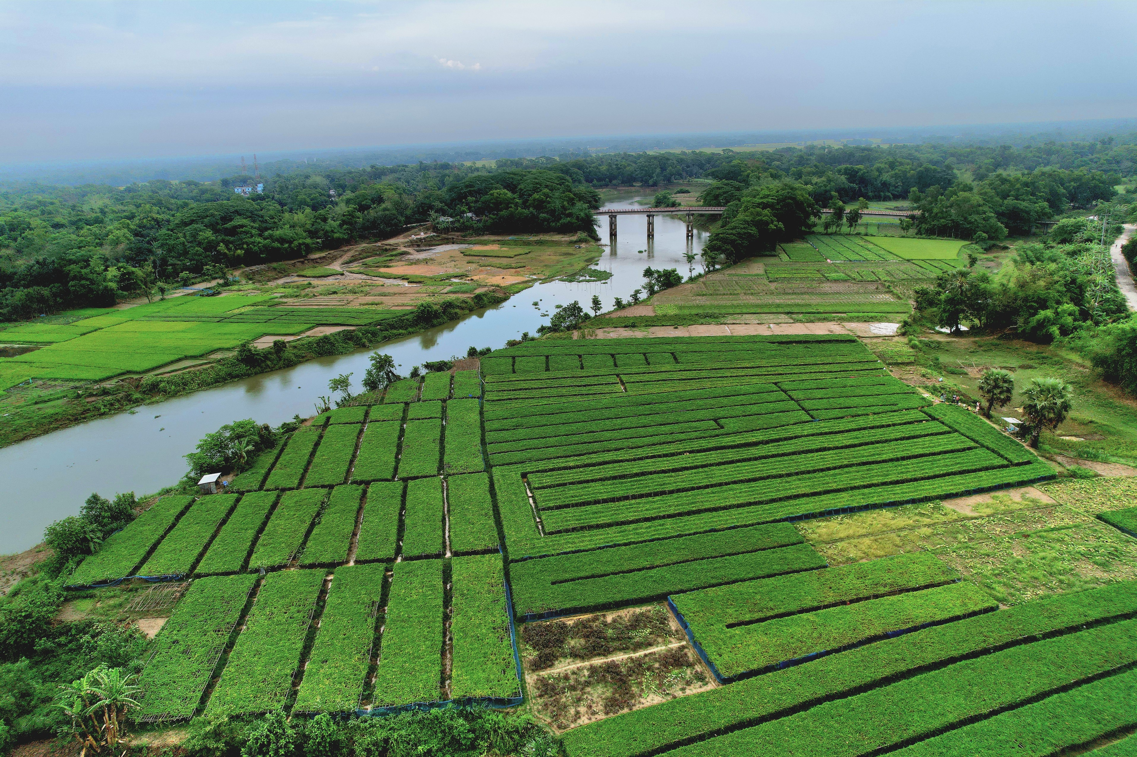 গোমতী নদী ও তার পাশ্ববর্তী ফসলী জমি