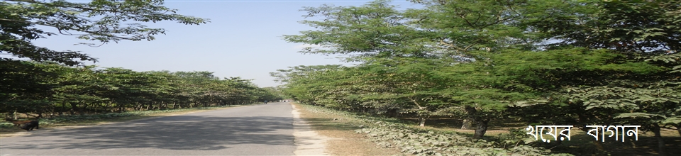 খয়ের বাগান