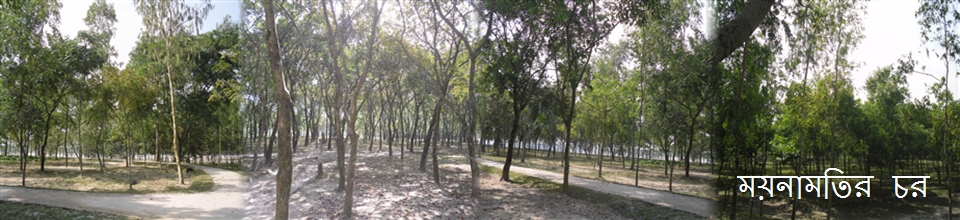 ময়নামতির চর