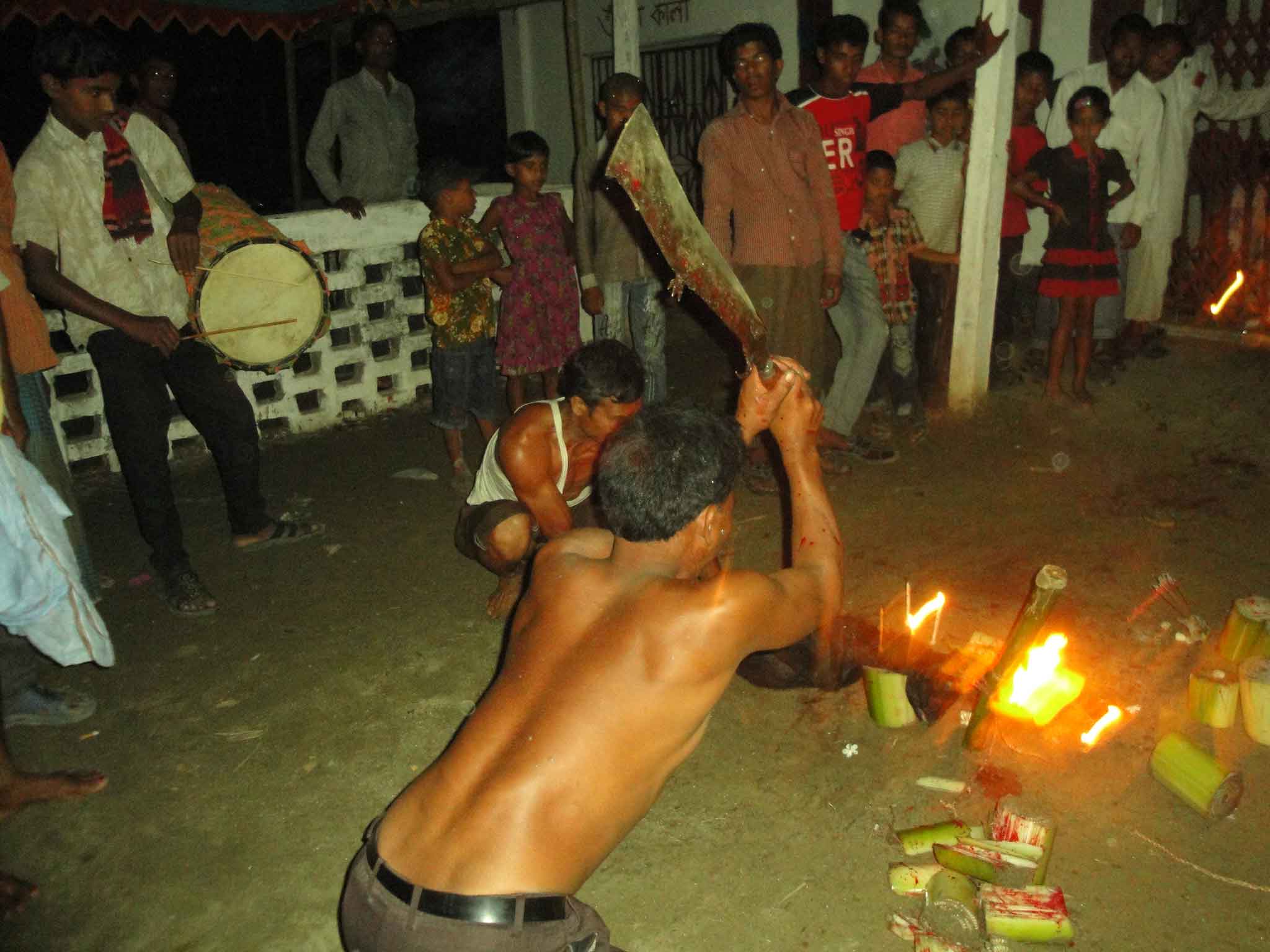ভেলাই চন্ডি বাজারের সব শেষে কবুতর, পাঠা বলি সহ ৫ বলি দেওয়া হচ্ছে।