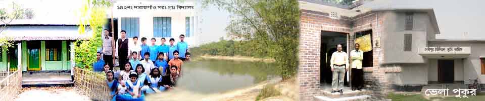 ভেলা পুকুর
