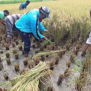 ফটোগ্যালারি