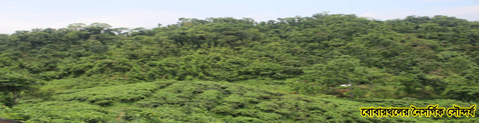 বোবারথল, দক্ষিন শাহবাজপুর