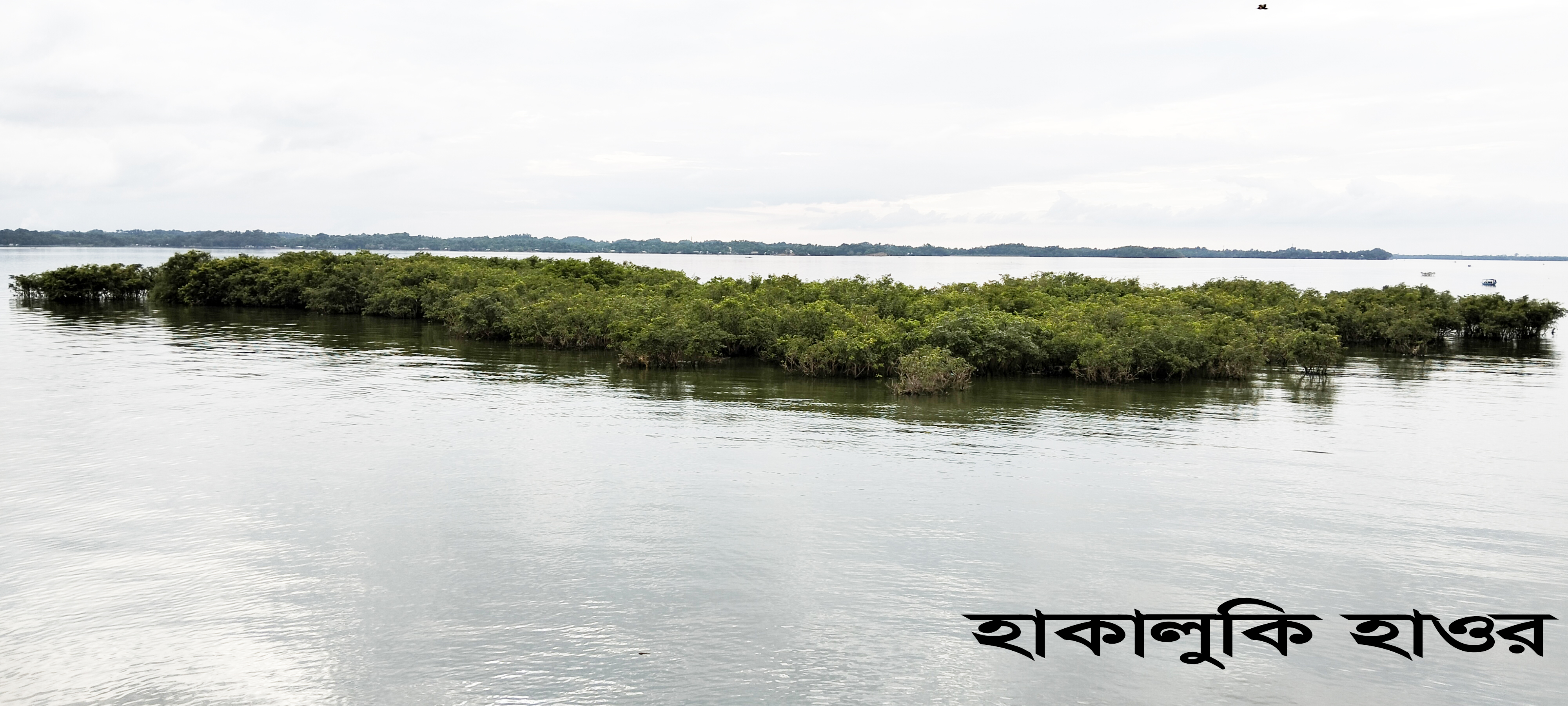 হাকালুকি হাওর