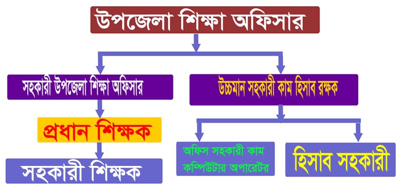 সাংগঠনিক কাঠামো