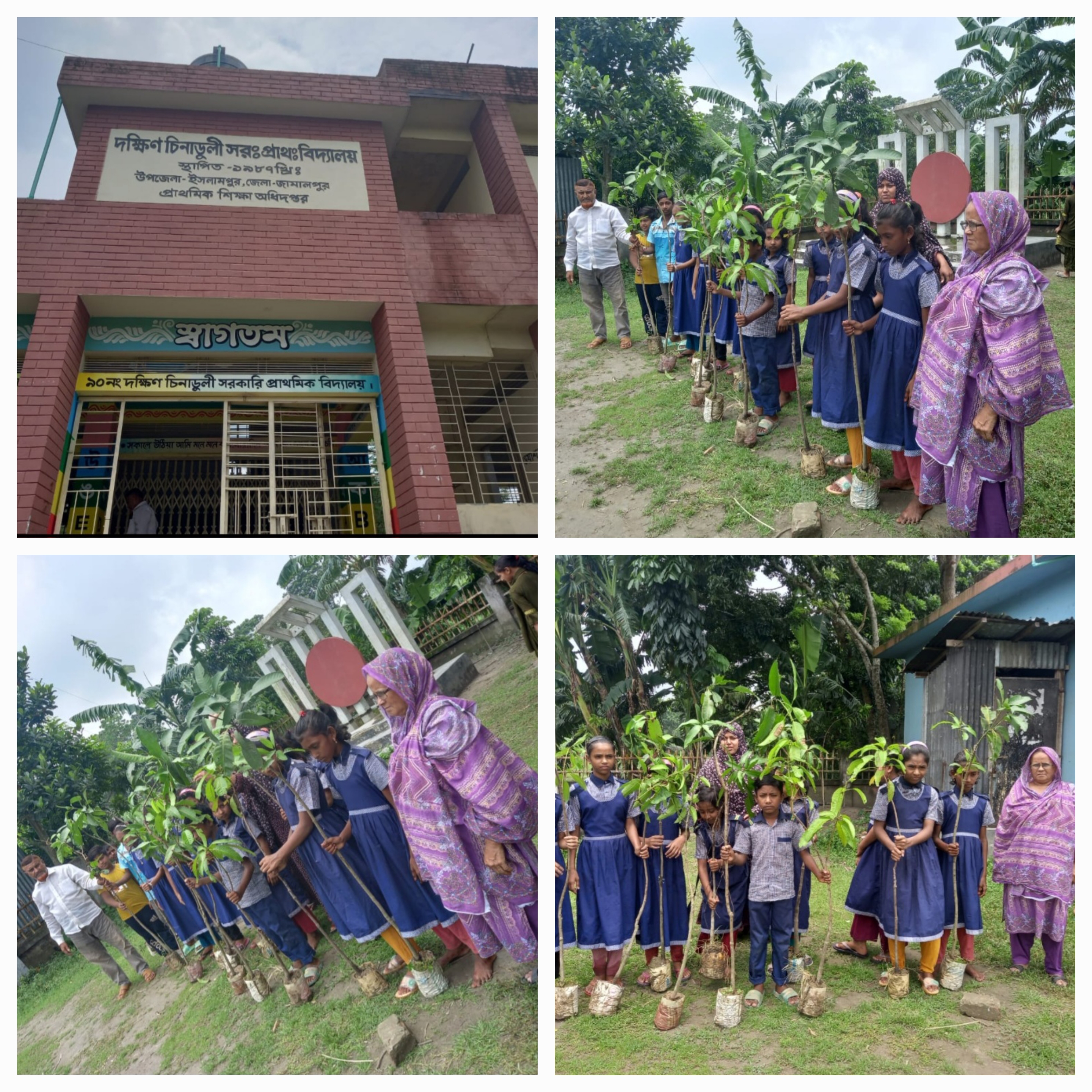 বিদ্যালয় পরিদর্শন