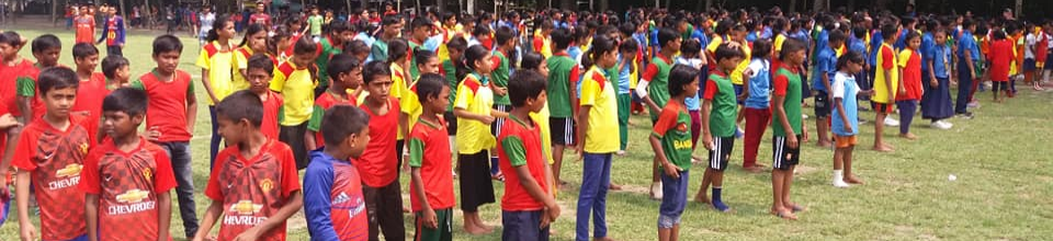 গোল্ডকাপ
