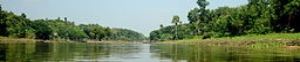 চিত্র নদী