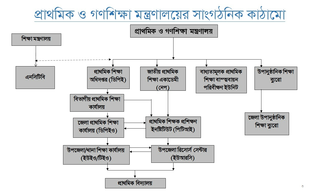 Organization%20Structure