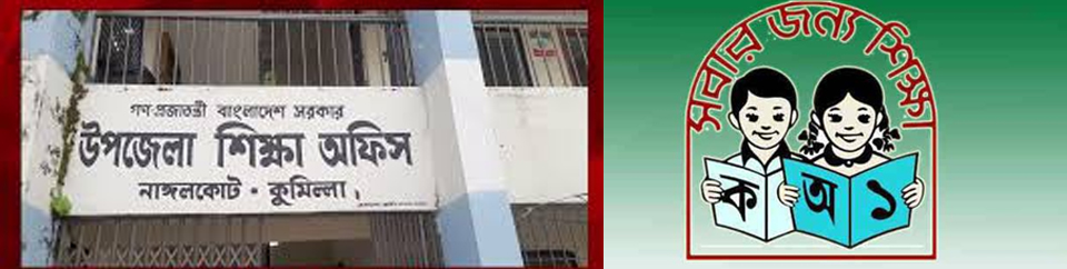 নাঙ্গলকোট উপজেলা শিক্ষা অফিস