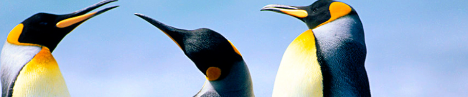 ুিুিুুুৃৃৃ