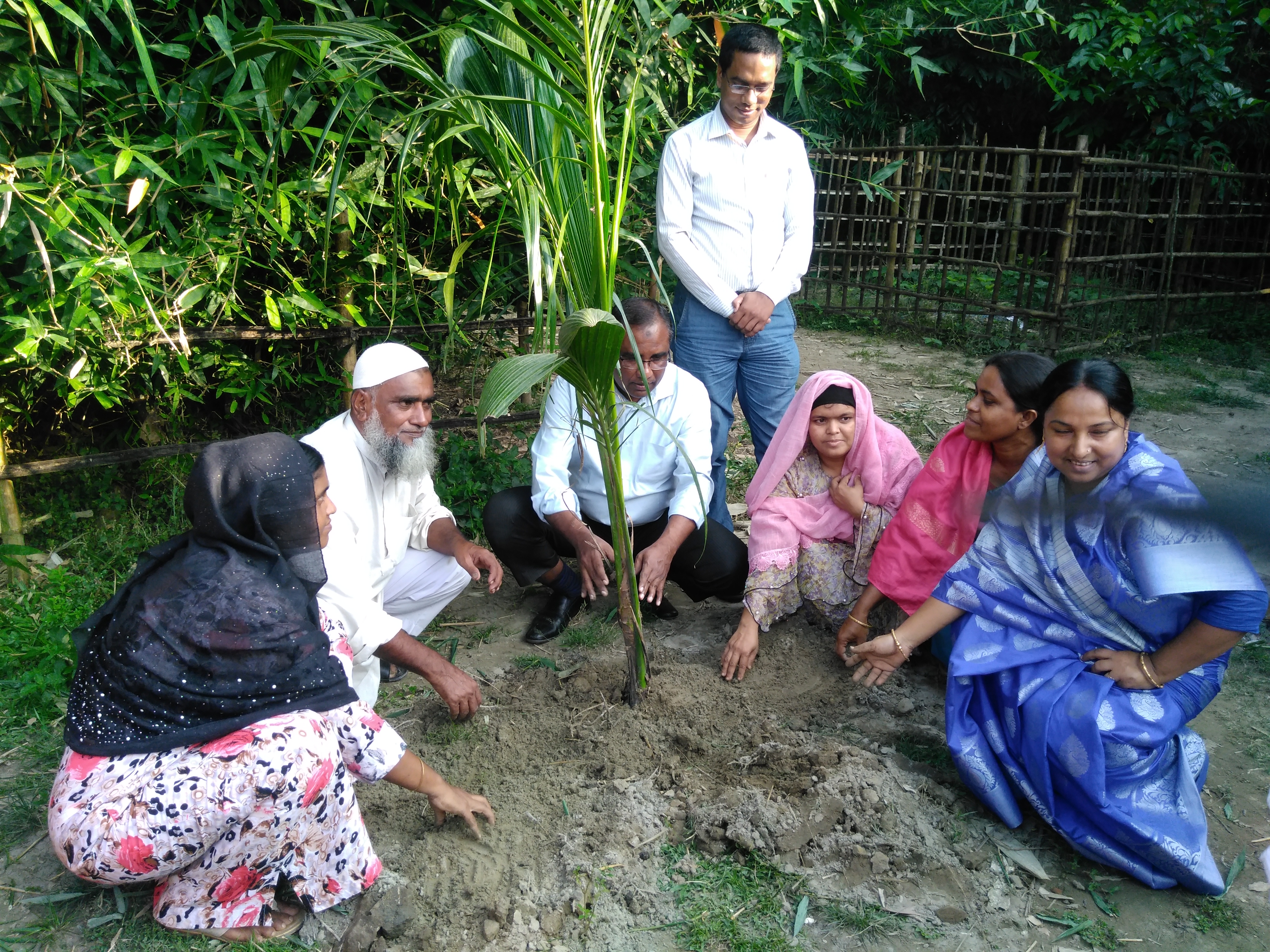 বৃক্ষরোপন