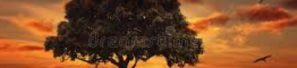 প্রাকৃতিক ছবি।