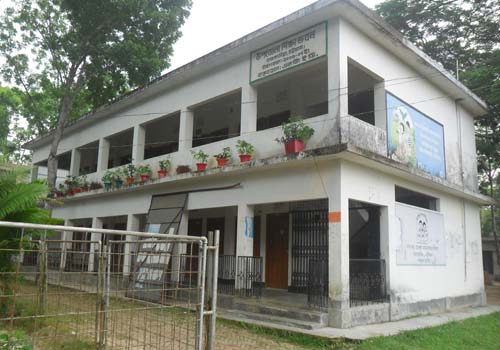 ফটো গ্যালারী